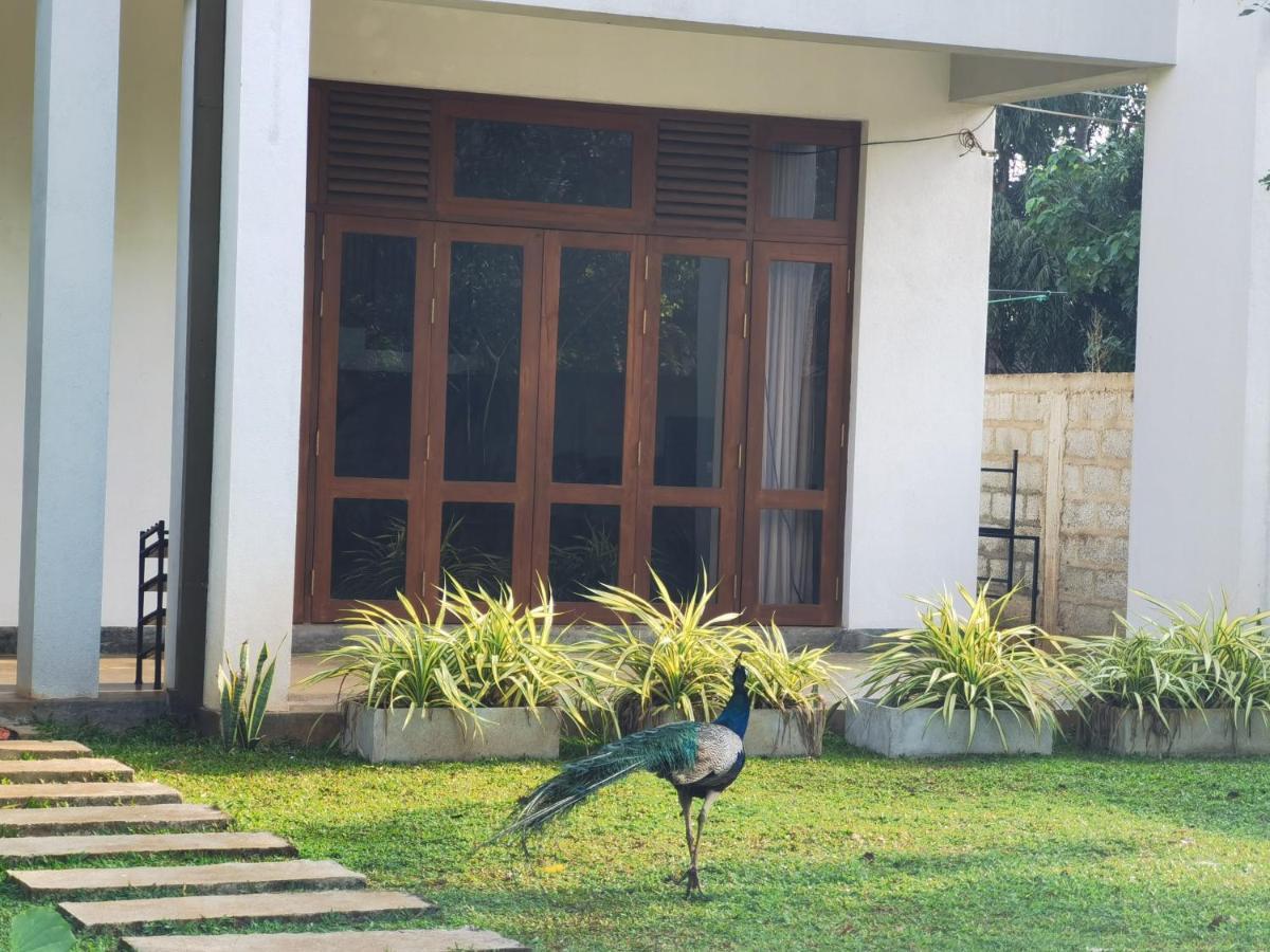 Ruwinsons Canal Garden أنرادابورام المظهر الخارجي الصورة