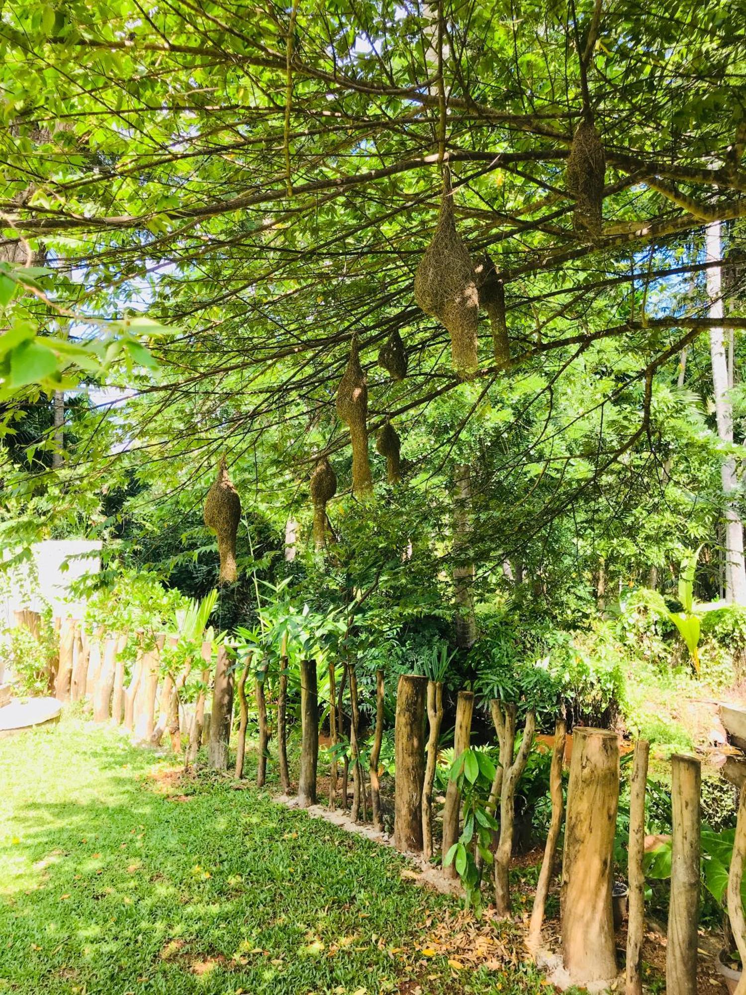 Ruwinsons Canal Garden أنرادابورام المظهر الخارجي الصورة